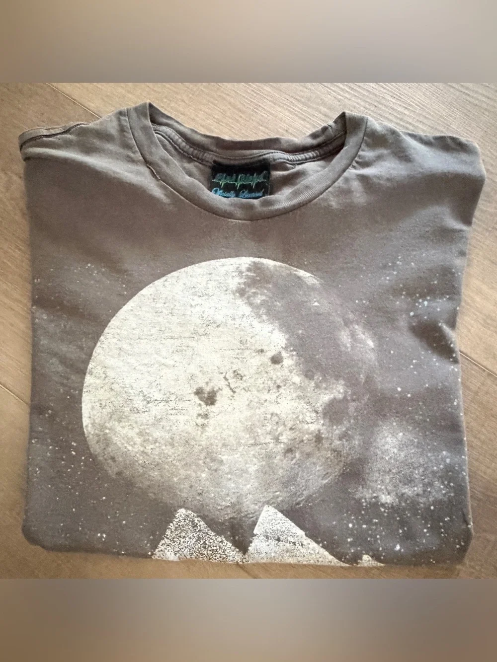 Pink Floyd T Shirt 2009 Men Large Gray Dark Side of the Moon Band Tee Rock Music
